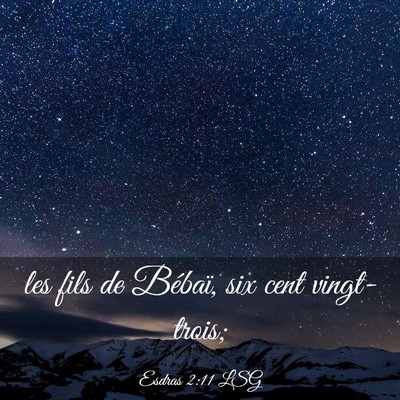 Picture 03 - Esdras 2:11 LSG - les fils de Bébaï, six cent - Bible Verse Picture