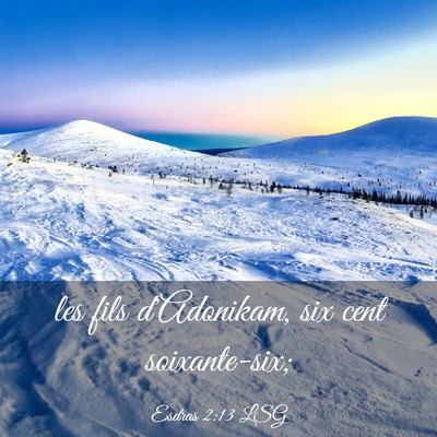 Picture 03 - Esdras 2:13 LSG - les fils d'Adonikam, six cent - Bible Verse Picture