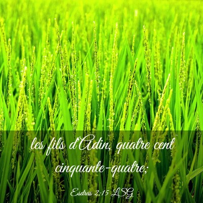 Picture 03 - Esdras 2:15 LSG - les fils d'Adin, quatre cent - Bible Verse Picture