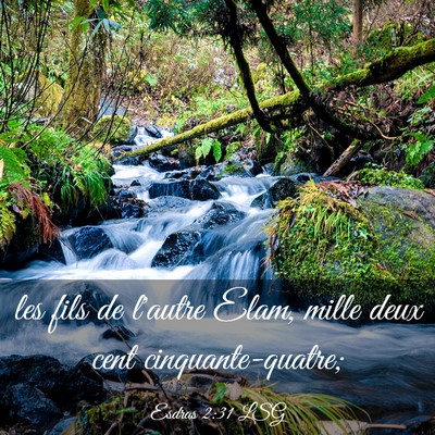 Picture 03 - Esdras 2:31 LSG - les fils de l'autre Elam, mille deux cent - Bible Verse Picture