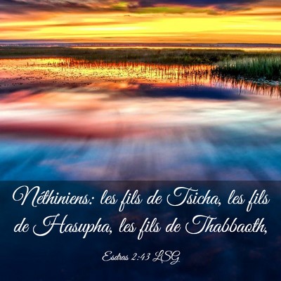 Picture 03 - Esdras 2:43 LSG - Néthiniens: les fils de Tsicha, les fils de - Bible Verse Picture