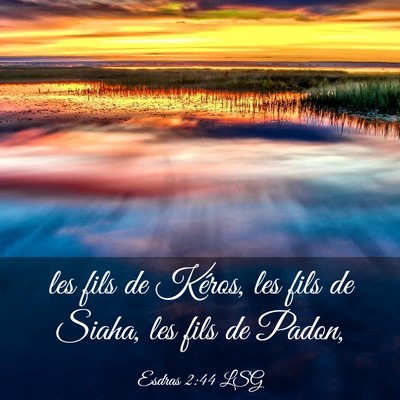 Picture 03 - Esdras 2:44 LSG - les fils de Kéros, les fils de Siaha, les fils - Bible Verse Picture