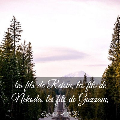 Picture 03 - Esdras 2:48 LSG - les fils de Retsin, les fils de Nekoda, les fils - Bible Verse Picture