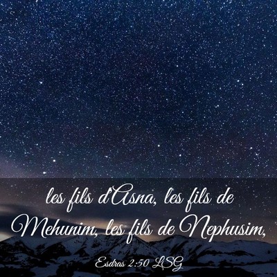 Picture 03 - Esdras 2:50 LSG - les fils d'Asna, les fils de Mehunim, les fils de - Bible Verse Picture