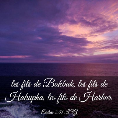 Picture 03 - Esdras 2:51 LSG - les fils de Bakbuk, les fils de Hakupha, les fils - Bible Verse Picture