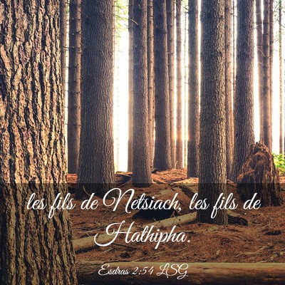 Picture 03 - Esdras 2:54 LSG - les fils de Netsiach, les fils de - Bible Verse Picture