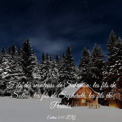 Picture 03 - Esdras 2:55 LSG - Fils des serviteurs de Salomon: les fils de - Bible Verse Picture