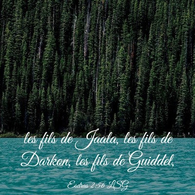 Picture 03 - Esdras 2:56 LSG - les fils de Jaala, les fils de Darkon, les fils - Bible Verse Picture