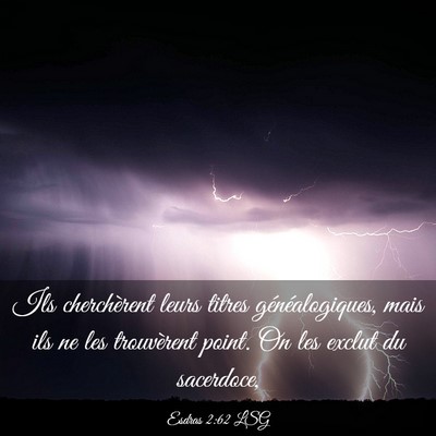 Picture 03 - Esdras 2:62 LSG - Ils cherchèrent leurs titres généalogiques, - Bible Verse Picture
