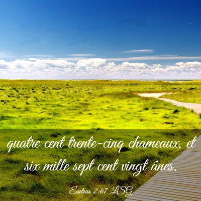 Picture 03 - Esdras 2:67 LSG - quatre cent trente-cinq chameaux, et six mille - Bible Verse Picture