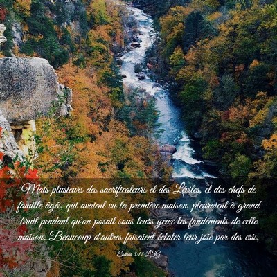 Picture 03 - Esdras 3:12 LSG - Mais plusieurs des sacrificateurs et des - Bible Verse Picture