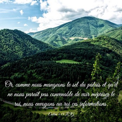 Picture 03 - Esdras 4:14 LSG - Or, comme nous mangeons le sel du palais et qu'il - Bible Verse Picture