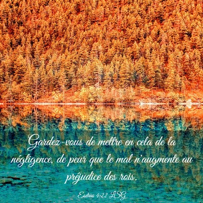 Picture 03 - Esdras 4:22 LSG - Gardez-vous de mettre en cela de la négligence, - Bible Verse Picture