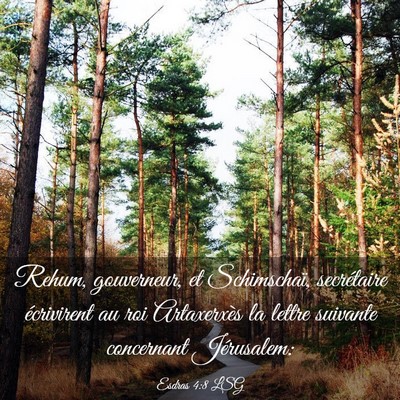 Picture 03 - Esdras 4:8 LSG - Rehum, gouverneur, et Schimschaï, secrétaire - Bible Verse Picture