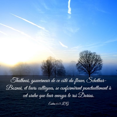 Picture 03 - Esdras 6:13 LSG - Thathnaï, gouverneur de ce côté du fleuve, - Bible Verse Picture