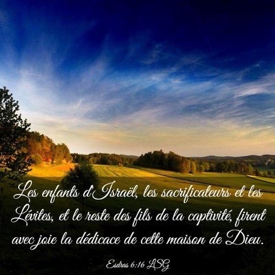 Picture 03 - Esdras 6:16 LSG - Les enfants d'Israël, les sacrificateurs et les - Bible Verse Picture