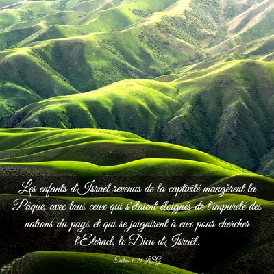 Picture 03 - Esdras 6:21 LSG - Les enfants d'Israël revenus de la captivité - Bible Verse Picture