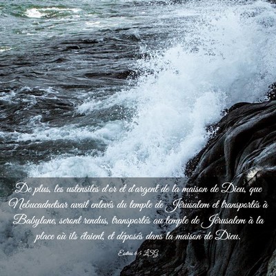 Picture 03 - Esdras 6:5 LSG - De plus, les ustensiles d'or et d'argent de la - Bible Verse Picture