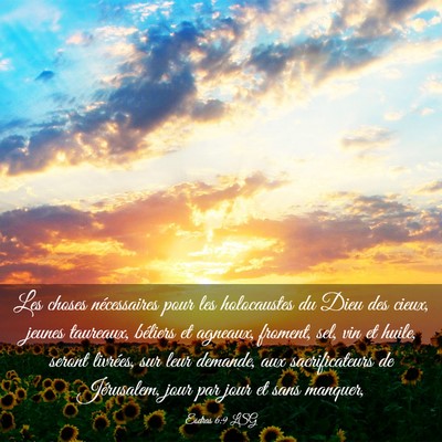 Picture 03 - Esdras 6:9 LSG - Les choses nécessaires pour les holocaustes du - Bible Verse Picture