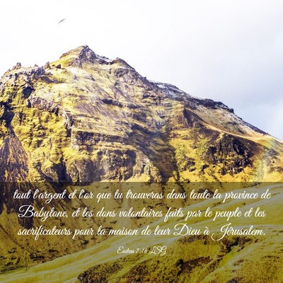 Picture 03 - Esdras 7:16 LSG - tout l'argent et l'or que tu trouveras dans toute - Bible Verse Picture