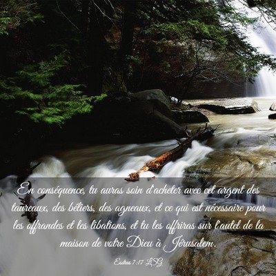 Picture 03 - Esdras 7:17 LSG - En conséquence, tu auras soin d'acheter avec cet - Bible Verse Picture