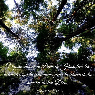 Picture 03 - Esdras 7:19 LSG - Dépose devant le Dieu de Jérusalem les - Bible Verse Picture