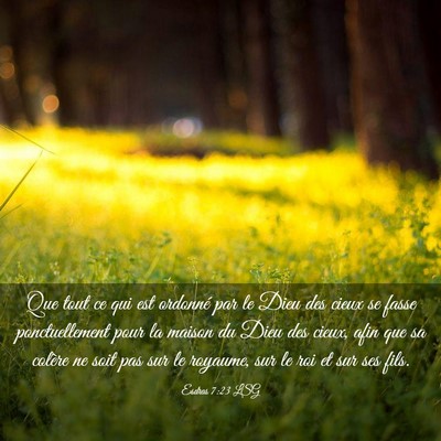 Picture 03 - Esdras 7:23 LSG - Que tout ce qui est ordonné par le Dieu des - Bible Verse Picture