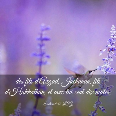 Picture 03 - Esdras 8:12 LSG - des fils d'Azgad, Jochanan, fils d'Hakkathan, et - Bible Verse Picture