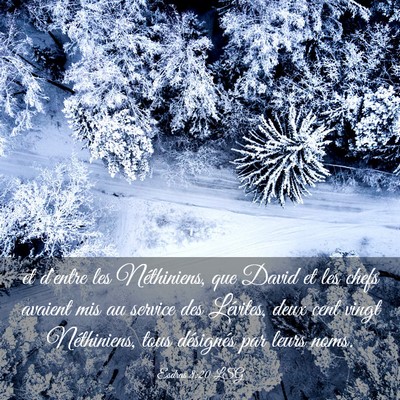 Picture 03 - Esdras 8:20 LSG - et d'entre les Néthiniens, que David et les - Bible Verse Picture
