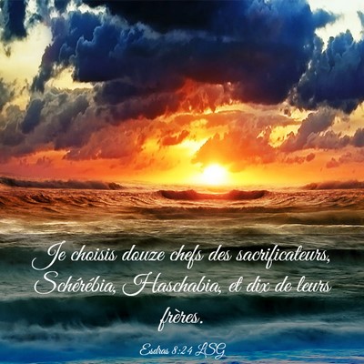 Picture 03 - Esdras 8:24 LSG - Je choisis douze chefs des sacrificateurs, - Bible Verse Picture