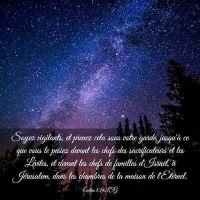 Picture 03 - Esdras 8:29 LSG - Soyez vigilants, et prenez cela sous votre garde, - Bible Verse Picture