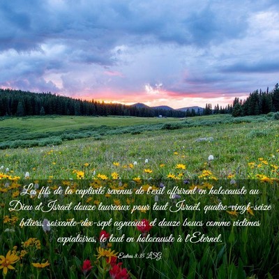 Picture 03 - Esdras 8:35 LSG - Les fils de la captivité revenus de l'exil - Bible Verse Picture