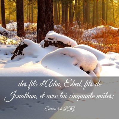 Picture 03 - Esdras 8:6 LSG - des fils d'Adin, Ebed, fils de Jonathan, et avec - Bible Verse Picture