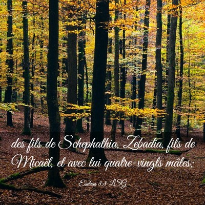 Picture 03 - Esdras 8:8 LSG - des fils de Schephathia, Zebadia, fils de - Bible Verse Picture