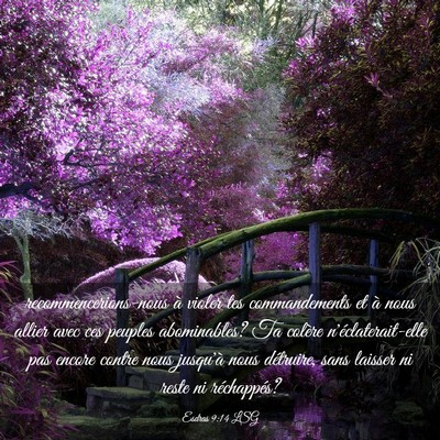 Picture 03 - Esdras 9:14 LSG - recommencerions-nous à violer tes commandements - Bible Verse Picture