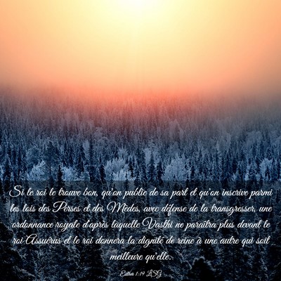Picture 03 - Esther 1:19 LSG - Si le roi le trouve bon, qu'on publie de sa part - Bible Verse Picture