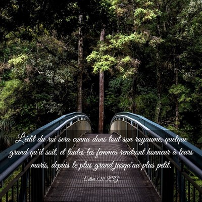 Picture 03 - Esther 1:20 LSG - L'édit du roi sera connu dans tout son royaume, - Bible Verse Picture