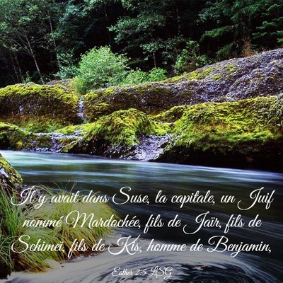 Picture 03 - Esther 2:5 LSG - Il y avait dans Suse, la capitale, un Juif nommé - Bible Verse Picture