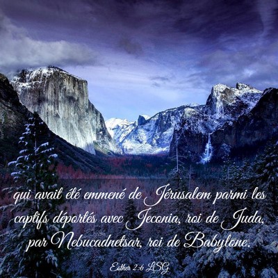 Picture 03 - Esther 2:6 LSG - qui avait été emmené de Jérusalem parmi les - Bible Verse Picture