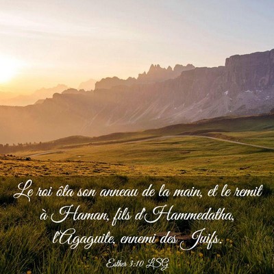 Picture 03 - Esther 3:10 LSG - Le roi ôta son anneau de la main, et le remit à - Bible Verse Picture