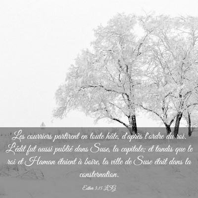 Picture 03 - Esther 3:15 LSG - Les courriers partirent en toute hâte, d'après - Bible Verse Picture