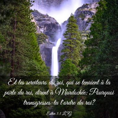 Picture 03 - Esther 3:3 LSG - Et les serviteurs du roi, qui se tenaient à la - Bible Verse Picture