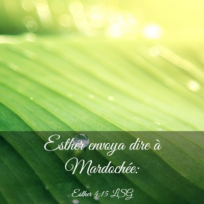Picture 03 - Esther 4:15 LSG - Esther envoya dire à - Bible Verse Picture