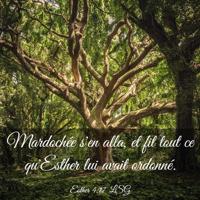 Picture 03 - Esther 4:17 LSG - Mardochée s'en alla, et fit tout ce qu'Esther - Bible Verse Picture