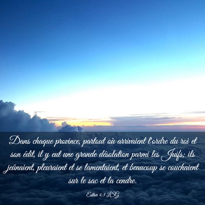 Picture 03 - Esther 4:3 LSG - Dans chaque province, partout où arrivaient - Bible Verse Picture