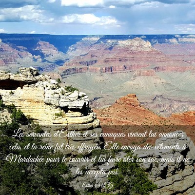 Picture 03 - Esther 4:4 LSG - Les servantes d'Esther et ses eunuques vinrent - Bible Verse Picture