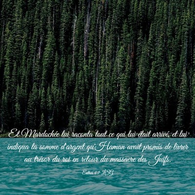 Picture 03 - Esther 4:7 LSG - Et Mardochée lui raconta tout ce qui lui était - Bible Verse Picture