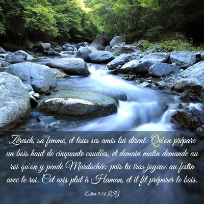 Picture 03 - Esther 5:14 LSG - Zéresch, sa femme, et tous ses amis lui dirent: - Bible Verse Picture