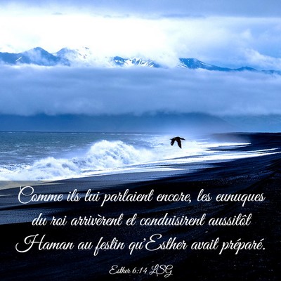 Picture 03 - Esther 6:14 LSG - Comme ils lui parlaient encore, les eunuques du - Bible Verse Picture