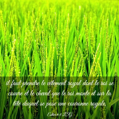 Picture 03 - Esther 6:8 LSG - il faut prendre le vêtement royal dont le roi se - Bible Verse Picture